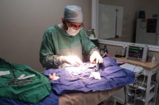 in surgery