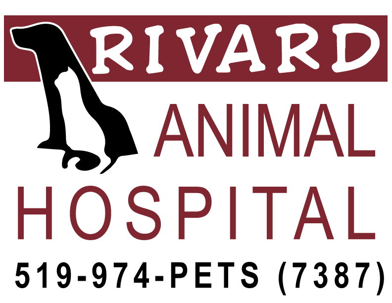 Rivard Animal Hospital Logo