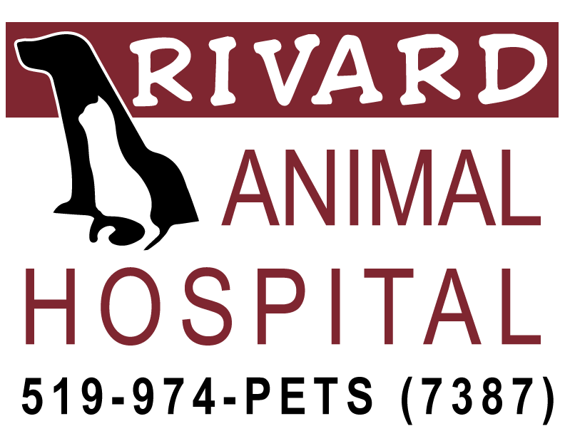 Rivard Animal Hospital - Windsor, Ontario - Home Rivard Animal Hospital - Windsor, Ontario - Home